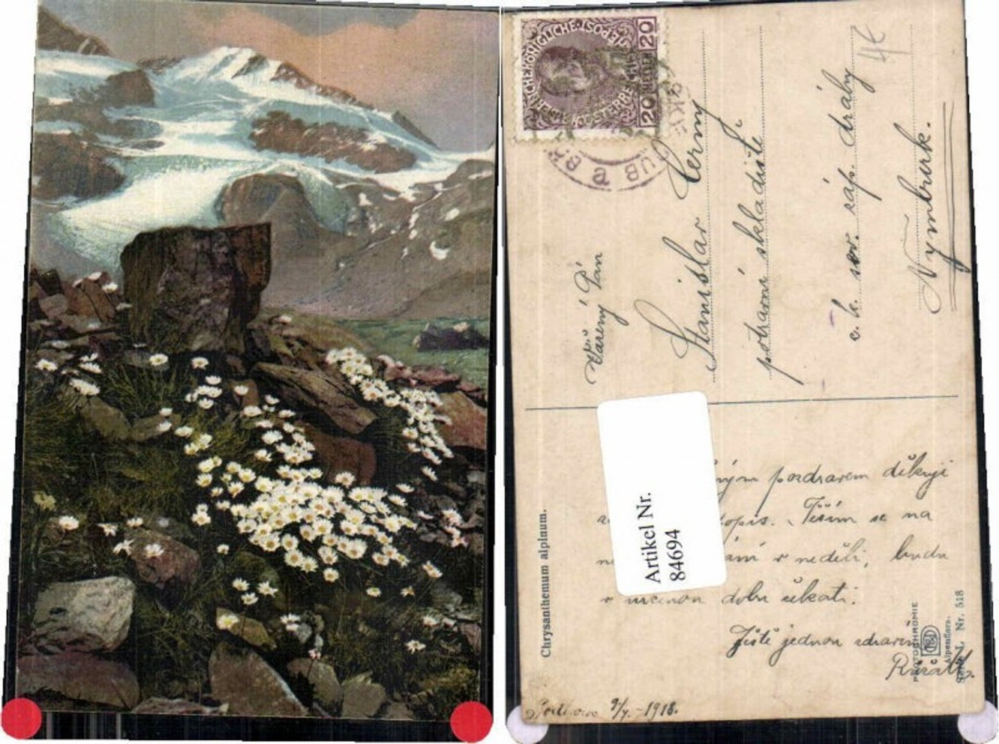 84694,Photochromie Ser. Alpenflora L 518 Blumen