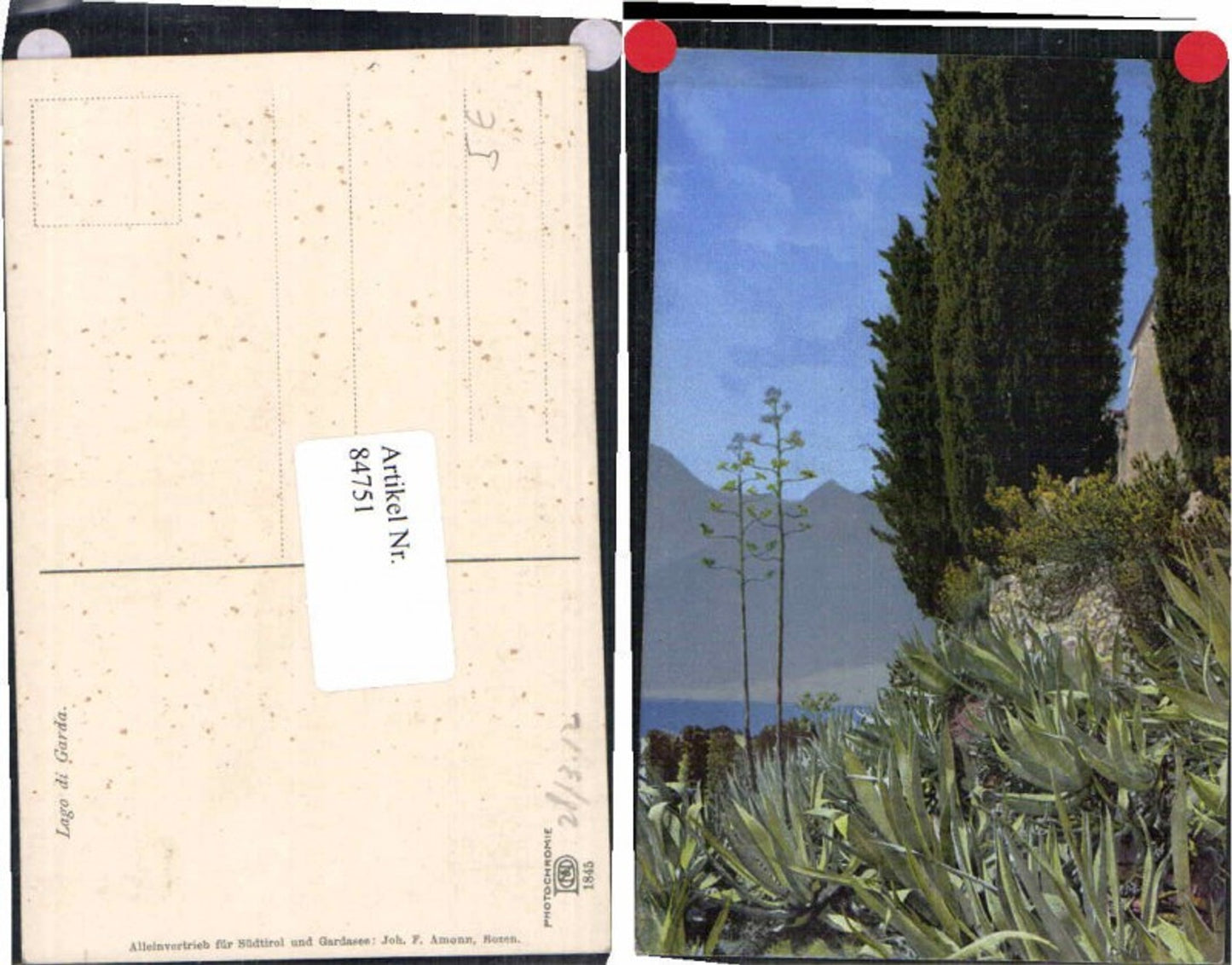 84751,Photochromie Ser. 1845 Lago di Garda Gardasee