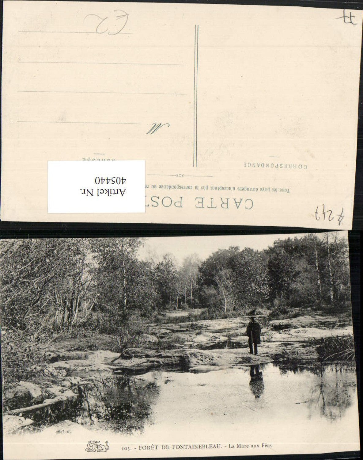 405440,Ile-de-France Seine-et-Marne Foret de Fontainebleau La Mare aux Fees forest