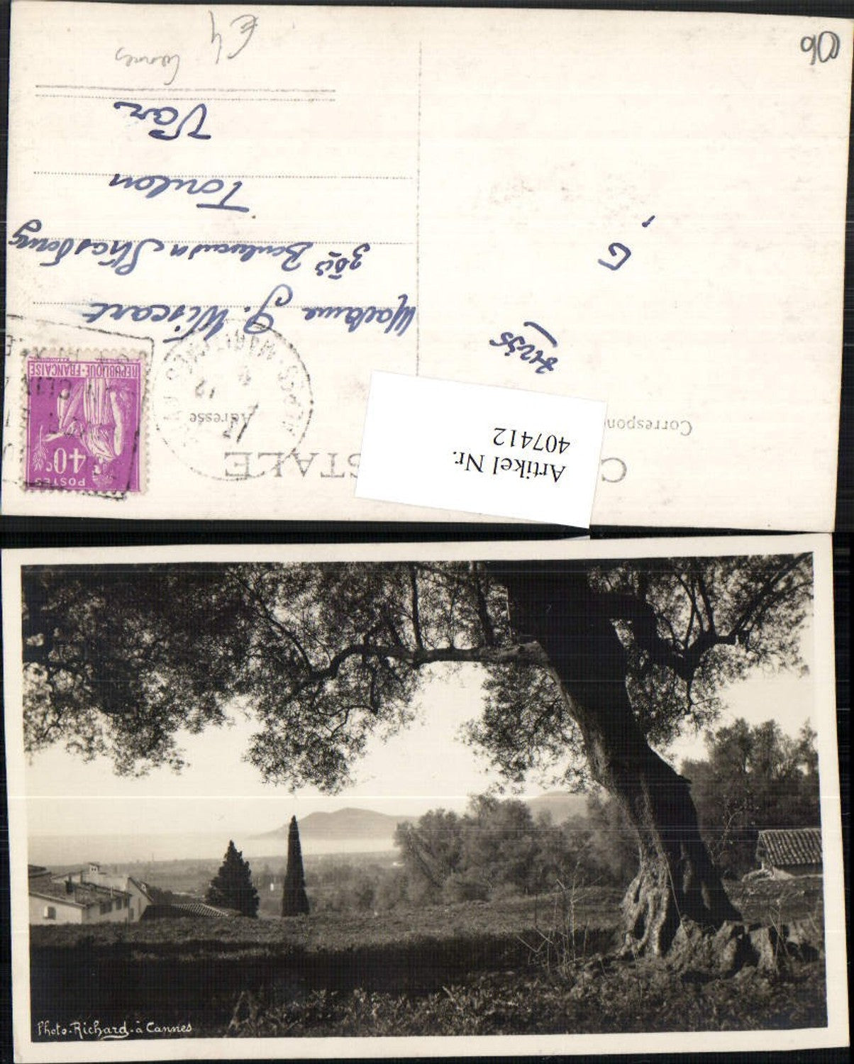 407412,Provence-Alpes-Cote-Azur Alpes-Maritimes Cannes motif tree