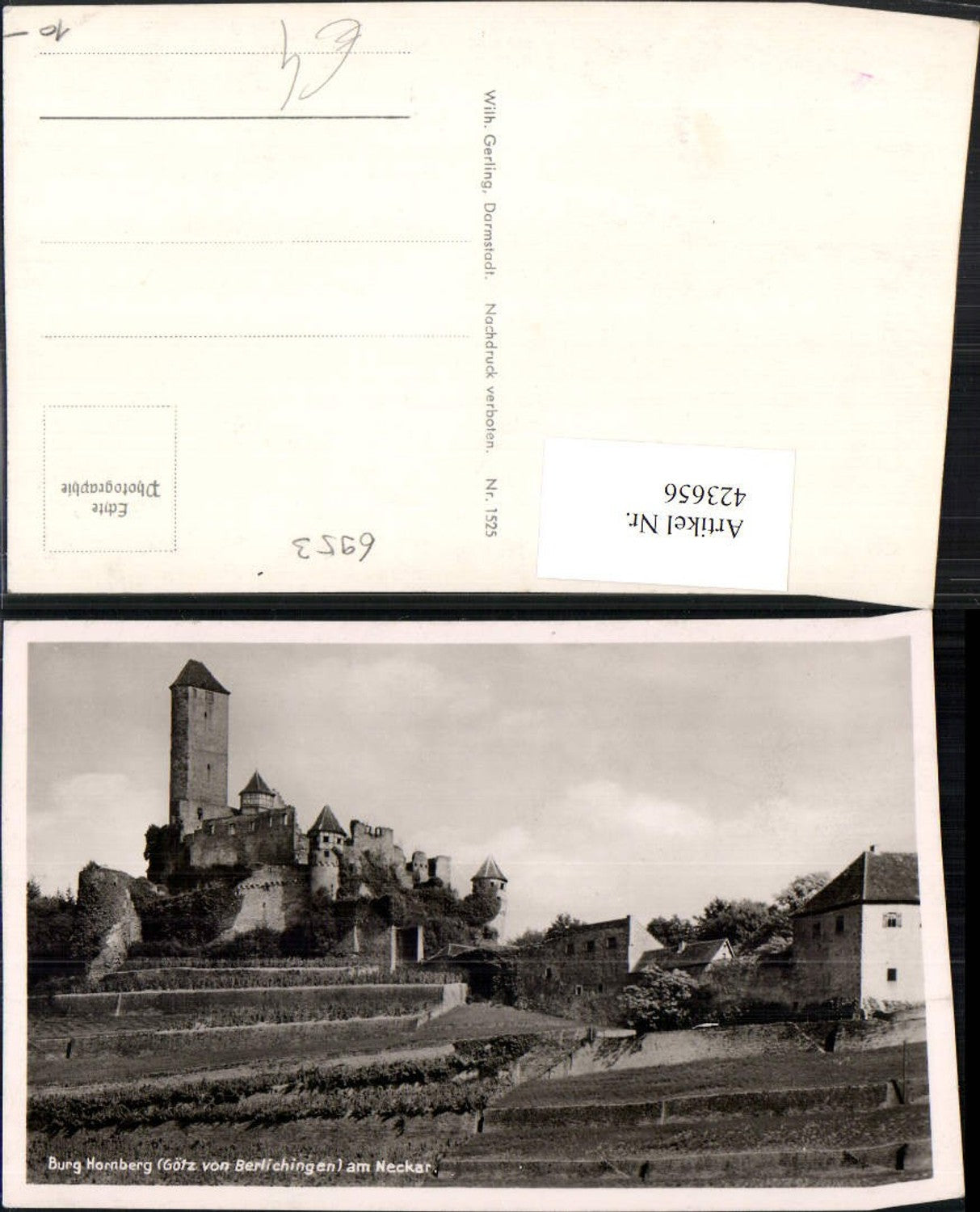 423656, Hornberg Castle on the Neckar River near Neckarzimmern