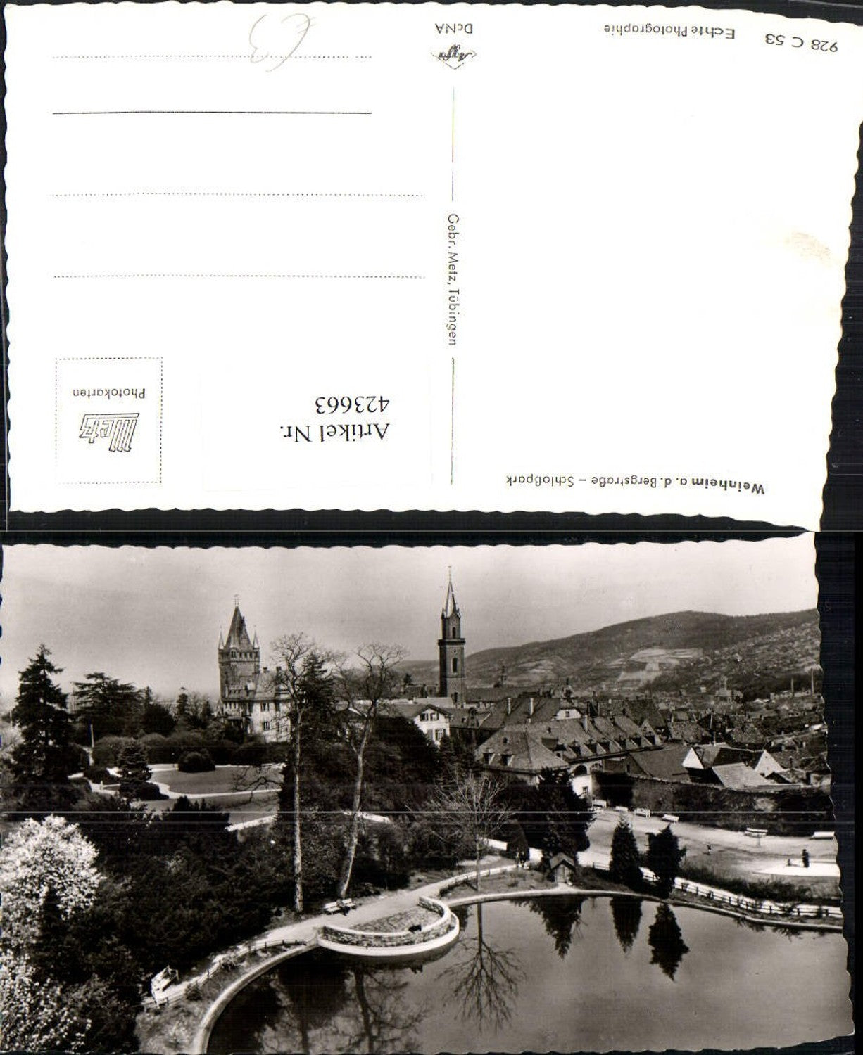 423663, Weinheim an der Bergstraße, Schlosspark