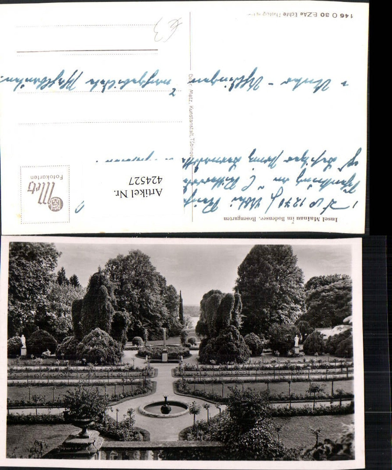 424527, Mainau Island on Lake Constance, Rose Garden