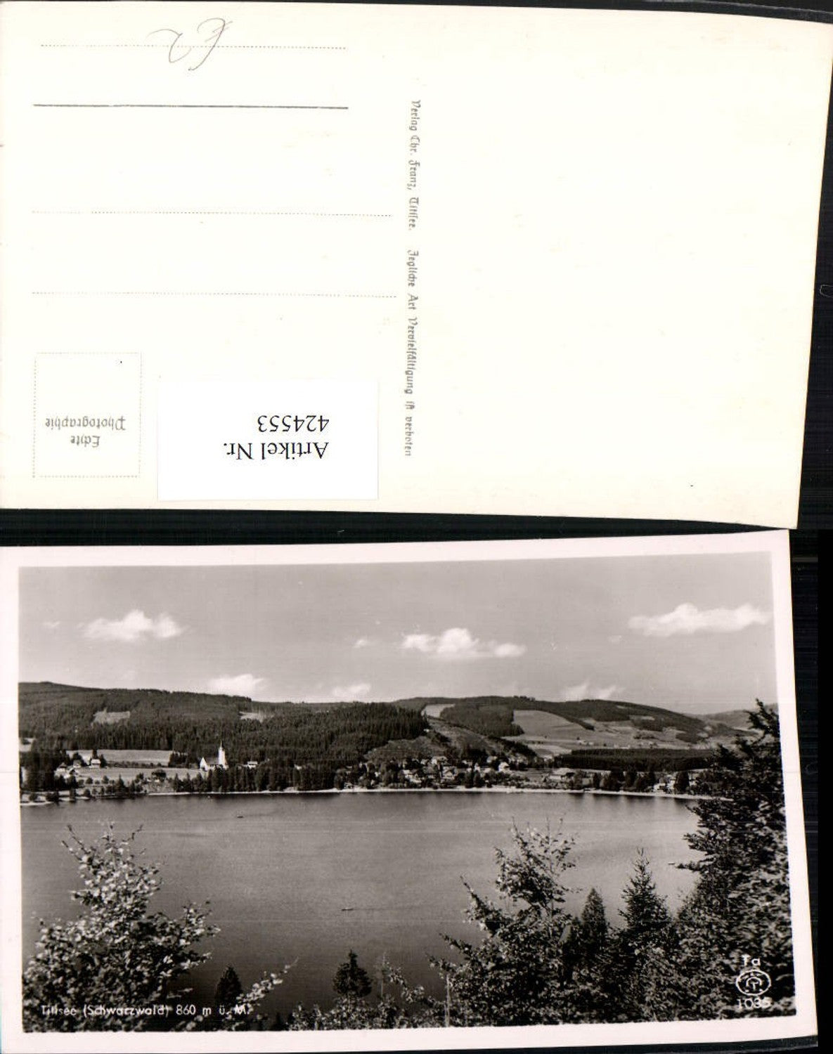 424553,Titisee See im Schwarzwald