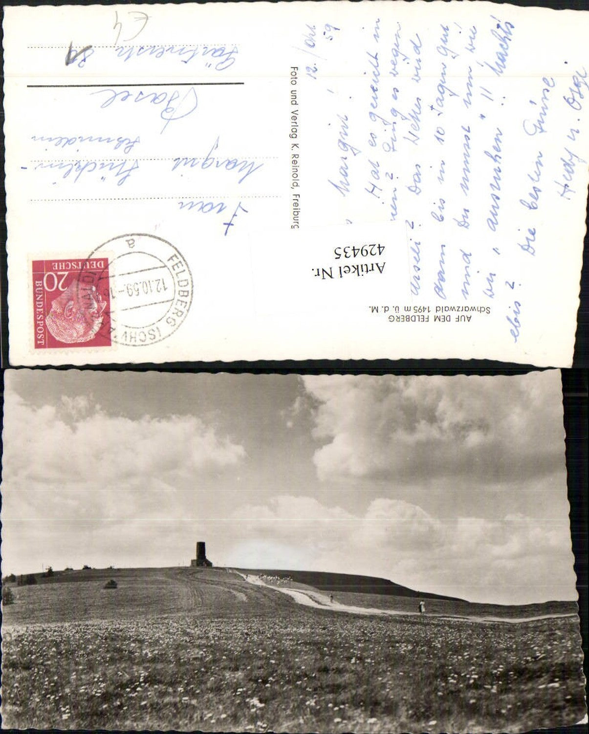 429435,Auf dem Feldberg im Schwarzwald Landschaft
