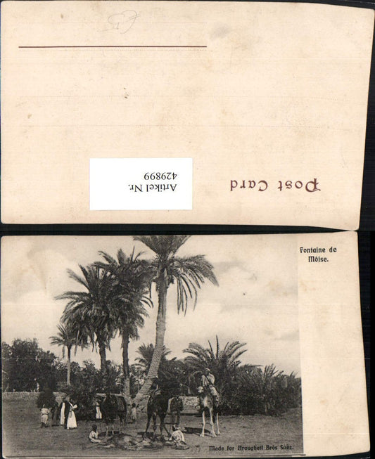 429899,Egypt Suez Sues Fontaine de Moise Folk Types Palms