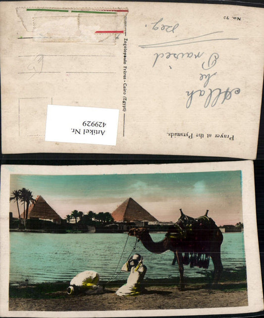 429929,Egypt Pryer at the Pyramids Prayer Folk Types Camel Pyramids