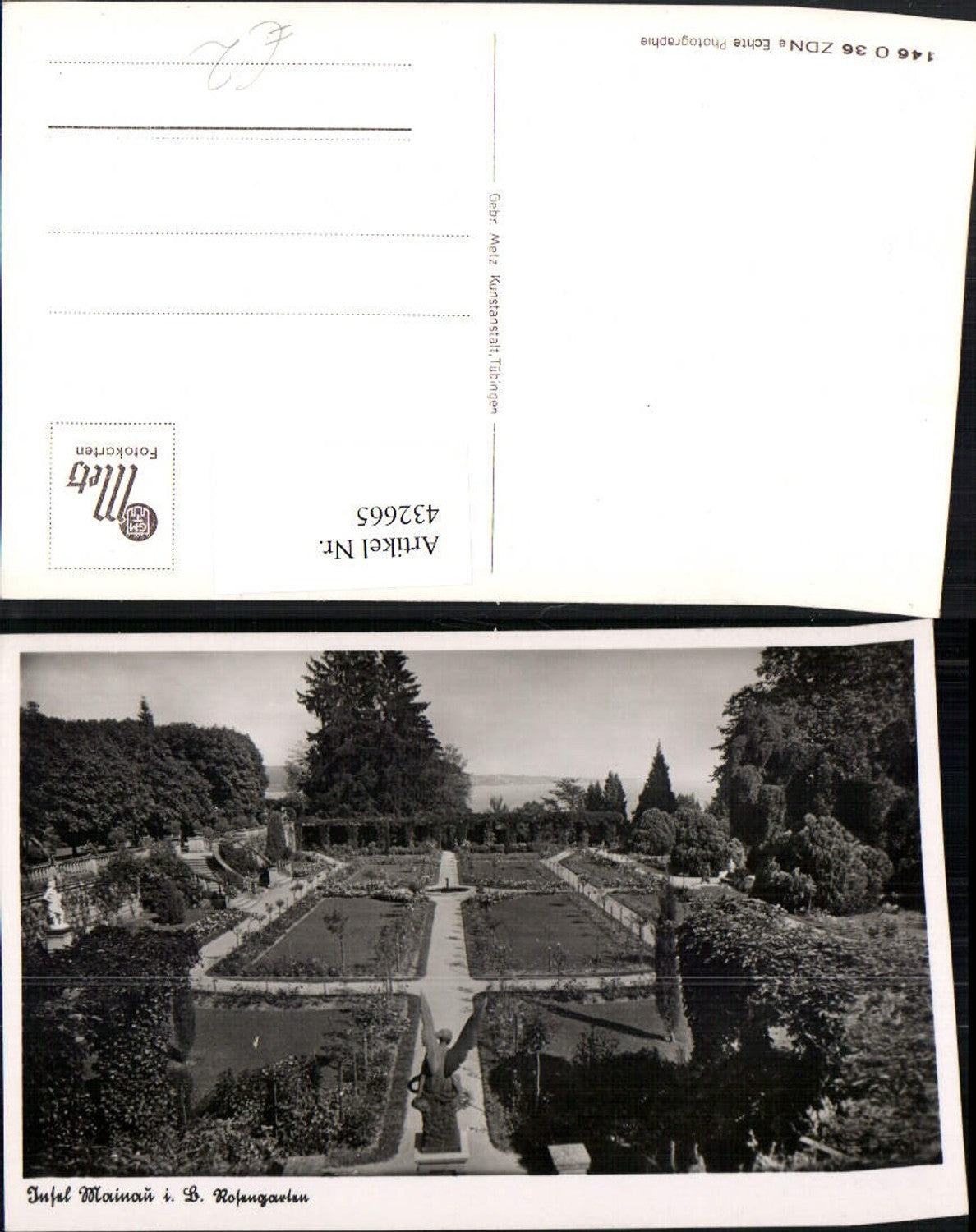 432665,Insel Mainau im Bodensee Rosengarten