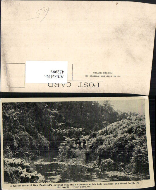 432997,New Zealand Neuseeland Crystal mountain streams Fluss Schafe