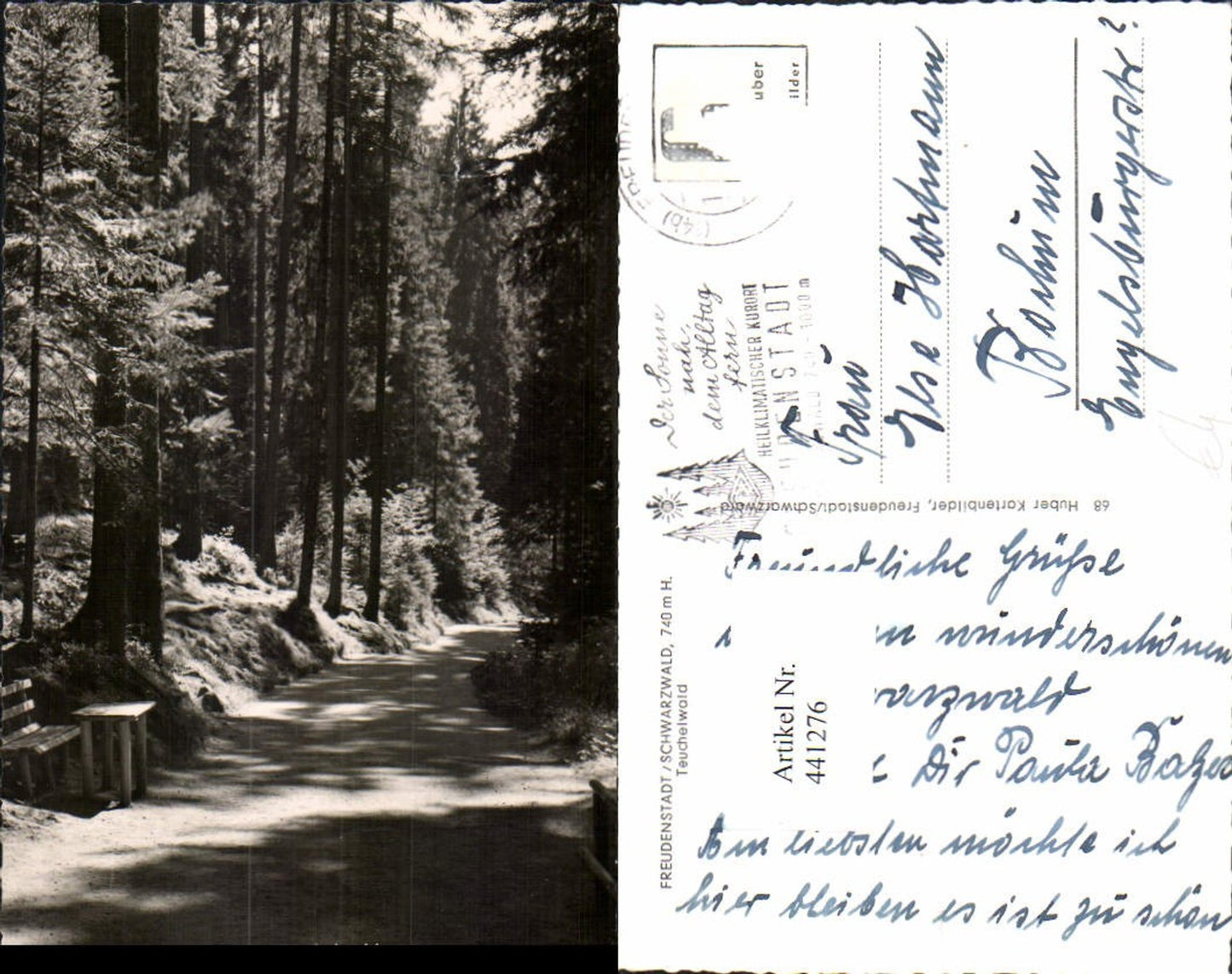 441276, Freudenstadt in the Black Forest, Teuchelwald trail