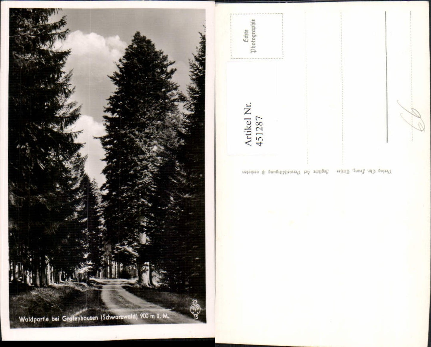 451287, Forest area near Grafenhausen in the Black Forest