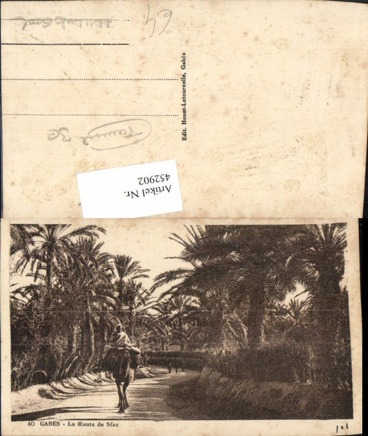452902, Tunisia Gabes La Route de Sfax Street Palms Camel