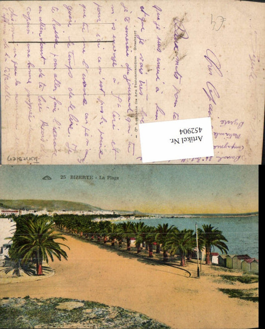 452904,Tunisia Bizerte Bizerta La Plage beach palm trees