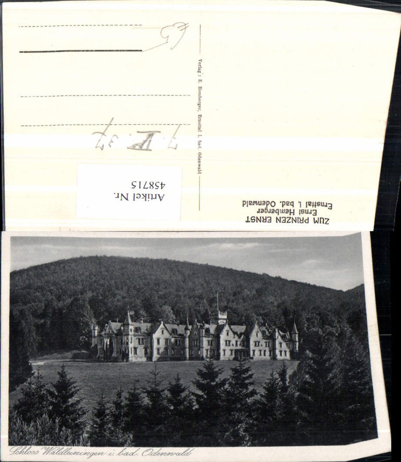 458715,Schloss Waldleiningen b. Mudau im Odenwald