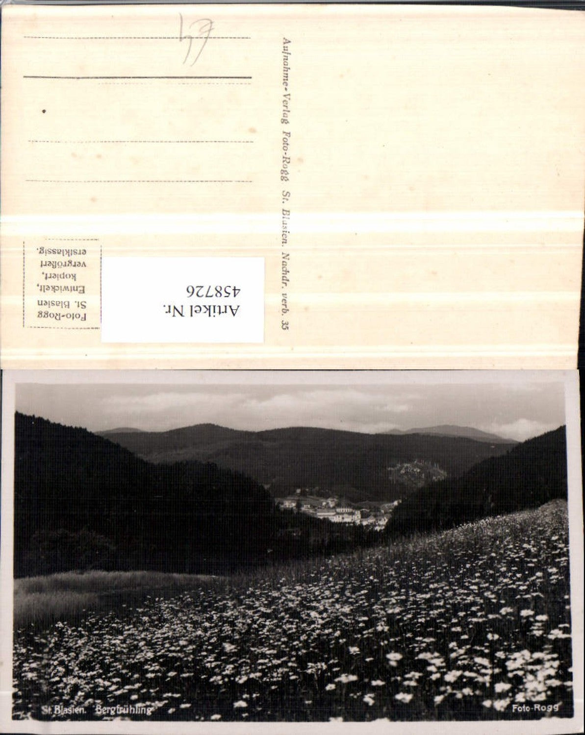 458726,St. Blasien Bergfrühling Blumenwiese