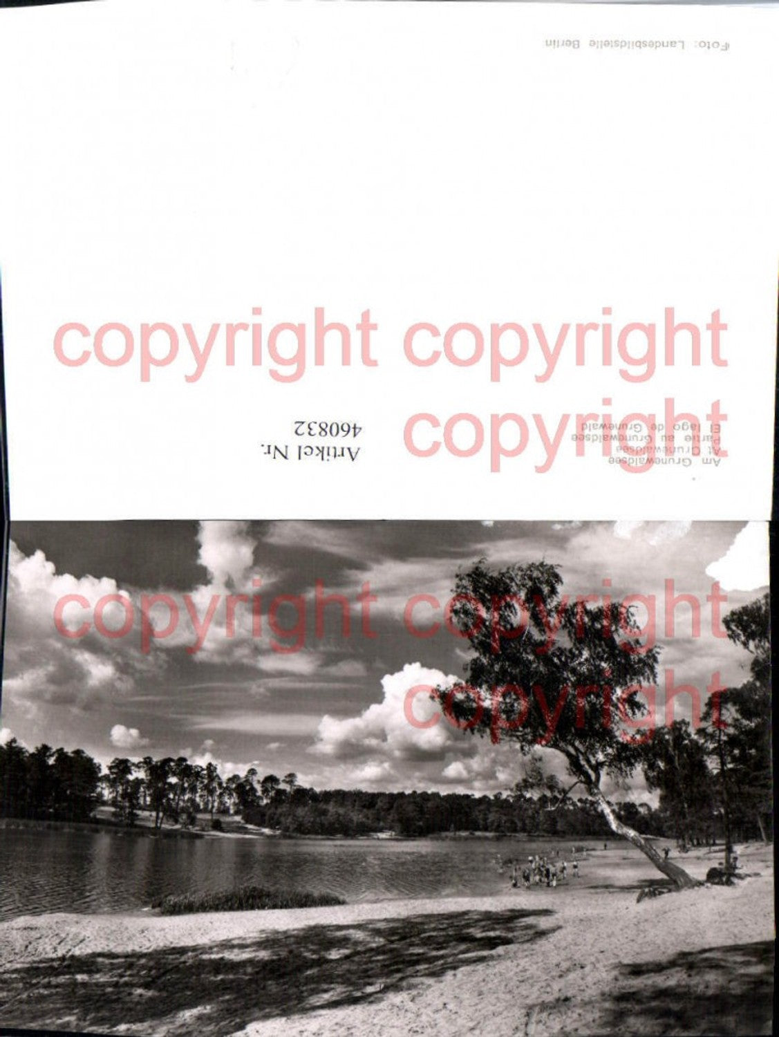 460832, Berlin Grunewaldsee Lake Party