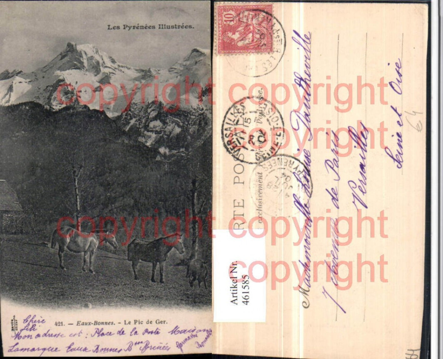 461585,Aquitanien Pyrenees-Atlantiques Eaux-Bonnes Pic de Ger Bergkulisse Pferde