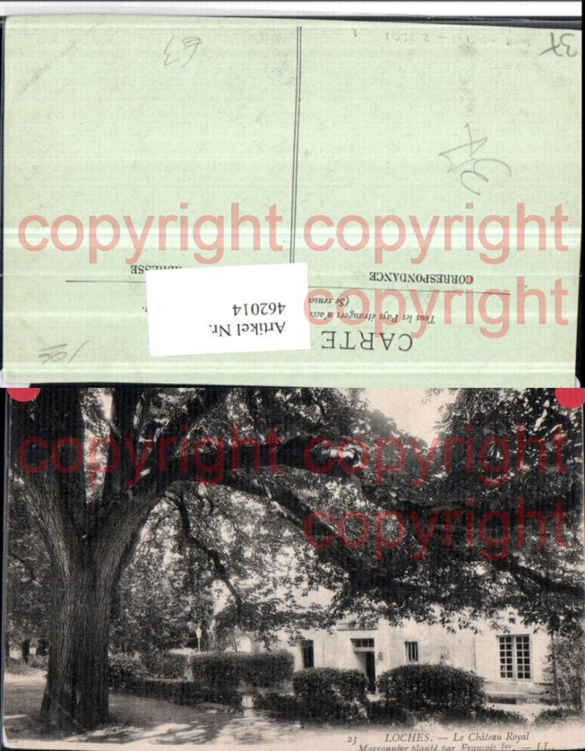 462014,Centre Indre-et-Loire Loches Chateau Royal Schloss Baum