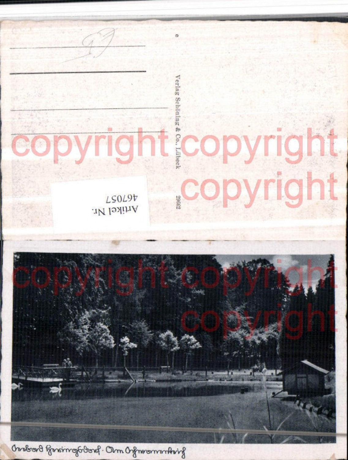 467057, Bad Heringsdorf Schwanenteich pond 