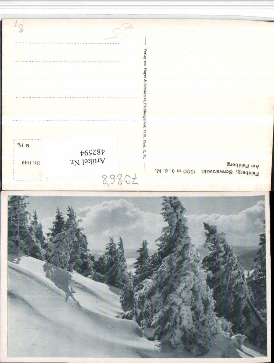 482594,Feldberg im Schwarzwald Winterlandschaft Bäume