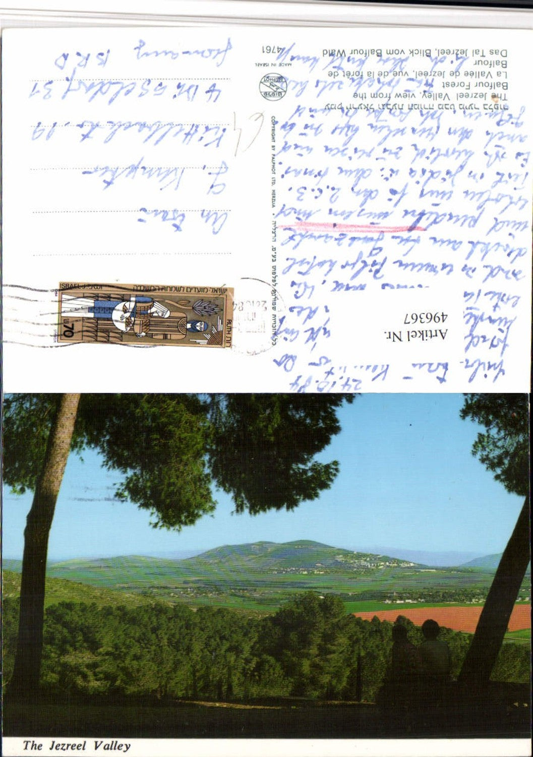 496367,Israel Jezreel Valley from the Balfour Forest landscape