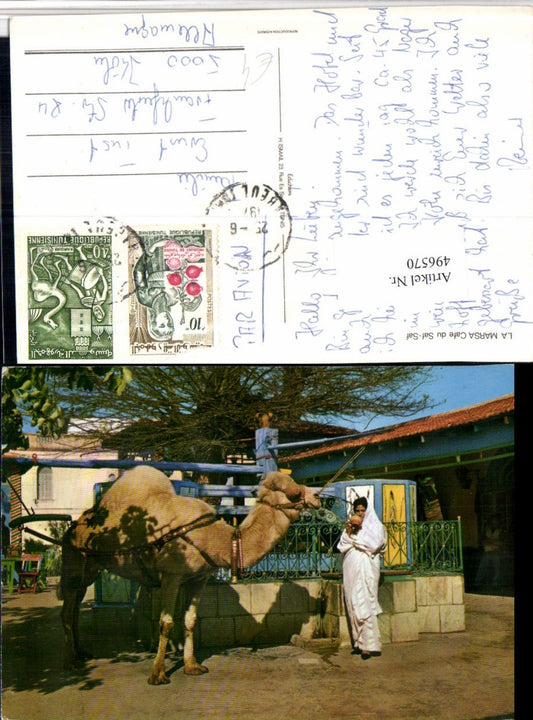 496570,Tunisia La Marsa Cafe du Saf-Saf Dromedary