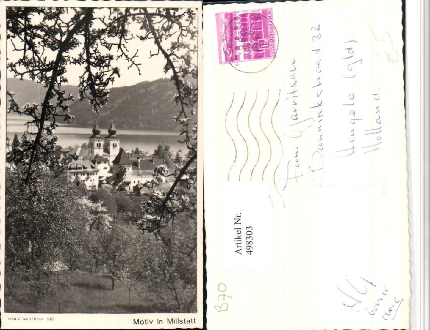 498303, Millstatt am See, partial view of tree blossom