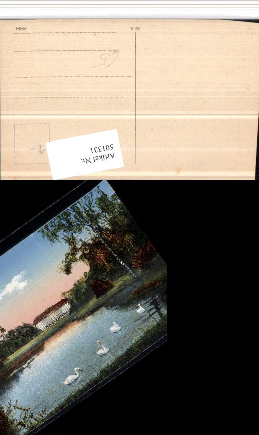 501331, Donaueschingen Princely Castle Pond Swans