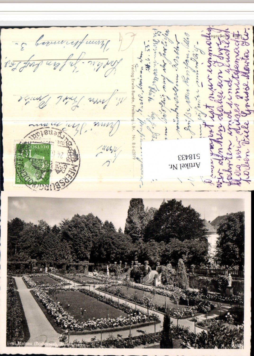 518433, Mainau Island in Lake Constance, Rose Garden