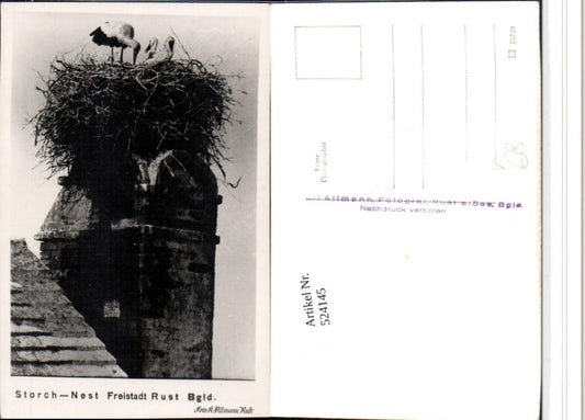 524145, Freistadt Rust Stork's Nest Storks pub Photo Karl Allmann