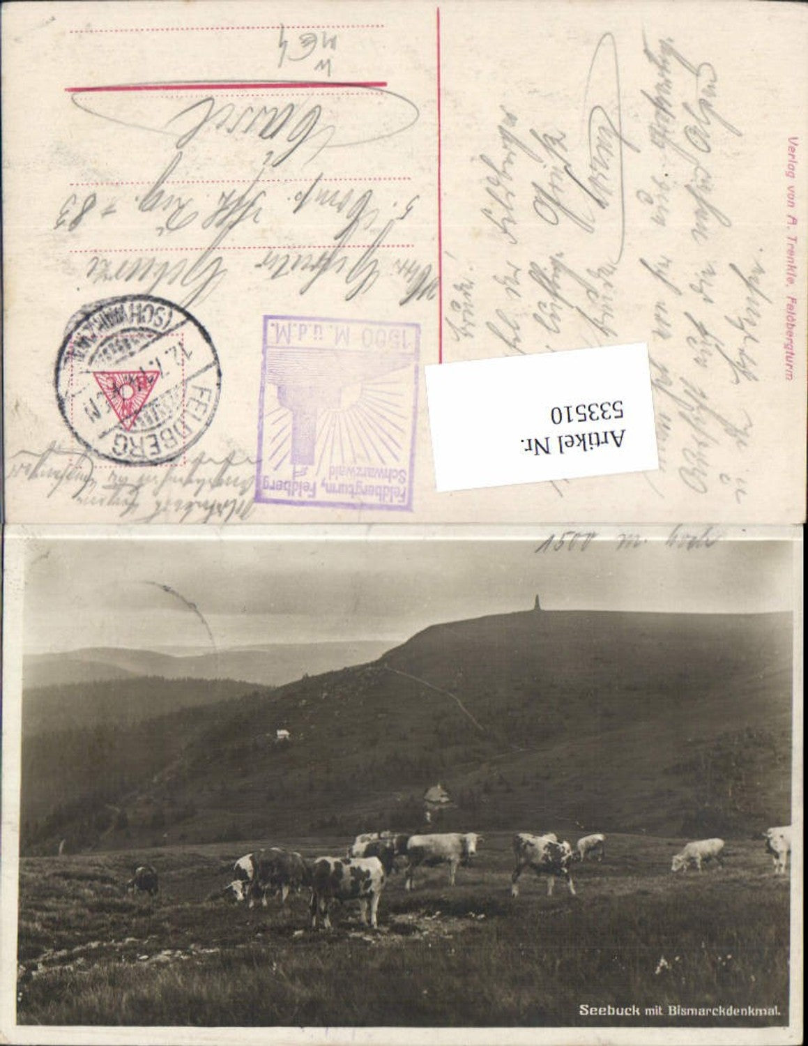 533510, Seebuck with Bismarck monument Feldberg cows Black Forest