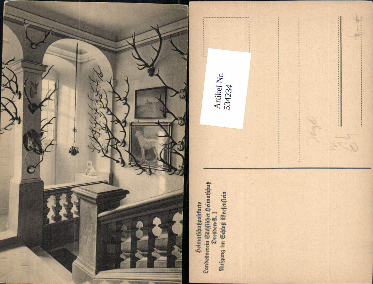 534234, Müglitztal, Ascent at Weesenstein Castle, Hunting, Antlers