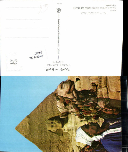 546676,Africa Egypt Cairo Cairo Giza Camel Camel Sphinx