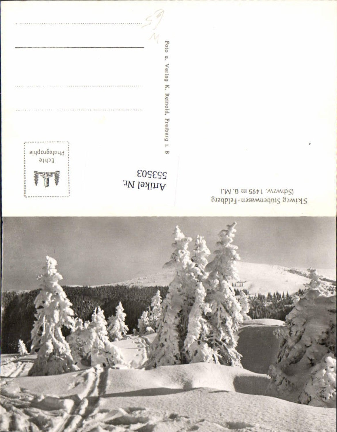 553503,Feldberg Hochschwarzwald Skiweg Stübenwasen