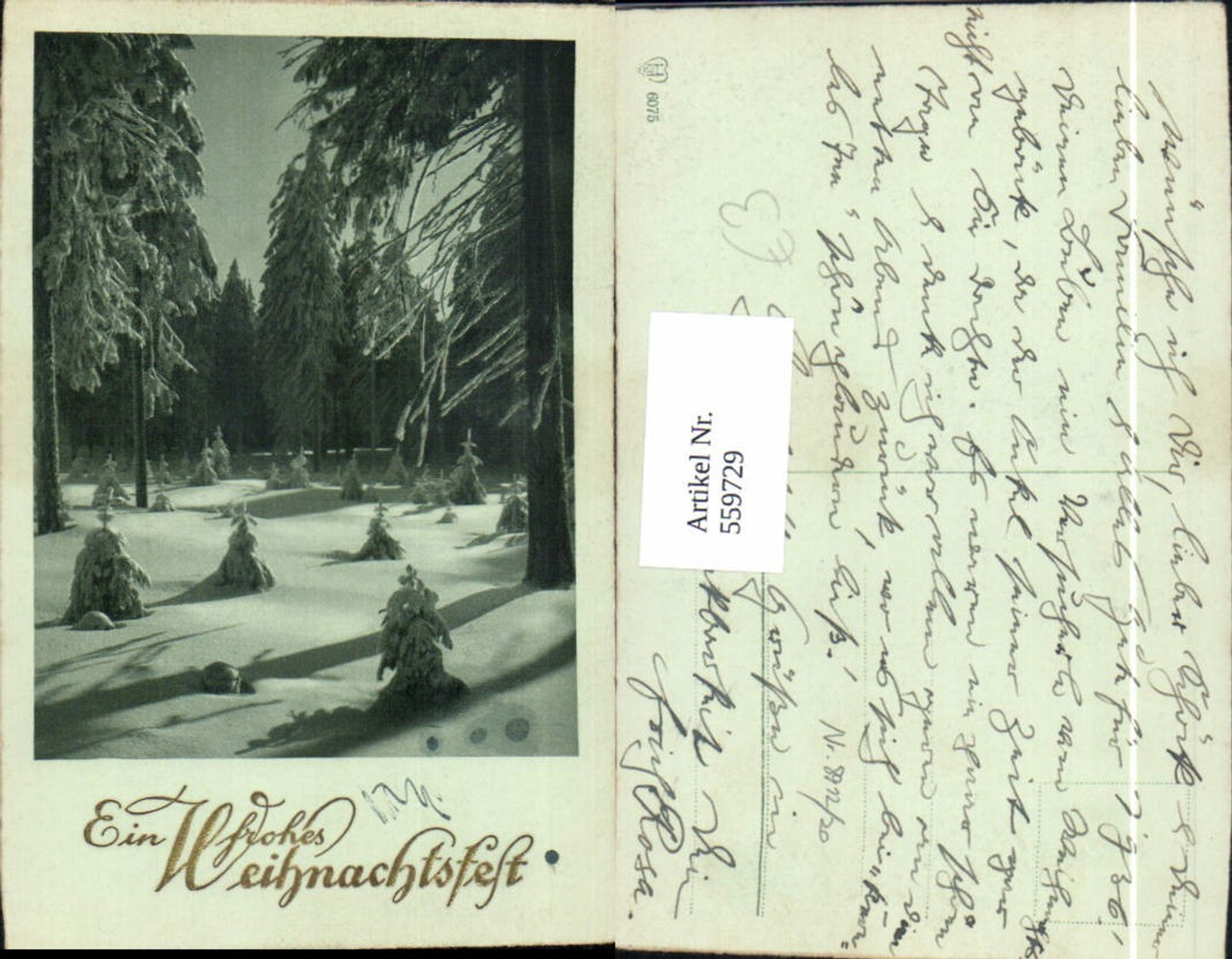 559729, Christmas Snowy Winter Forest Gold Lettering