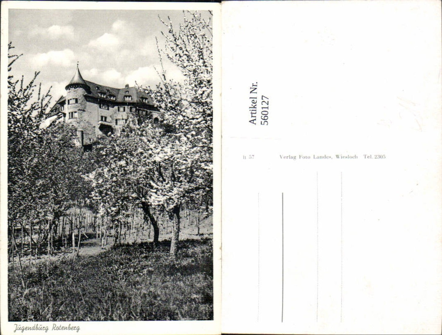 560127,Jugendburg Rotenberg Schloss Baumblüte Rauenberg