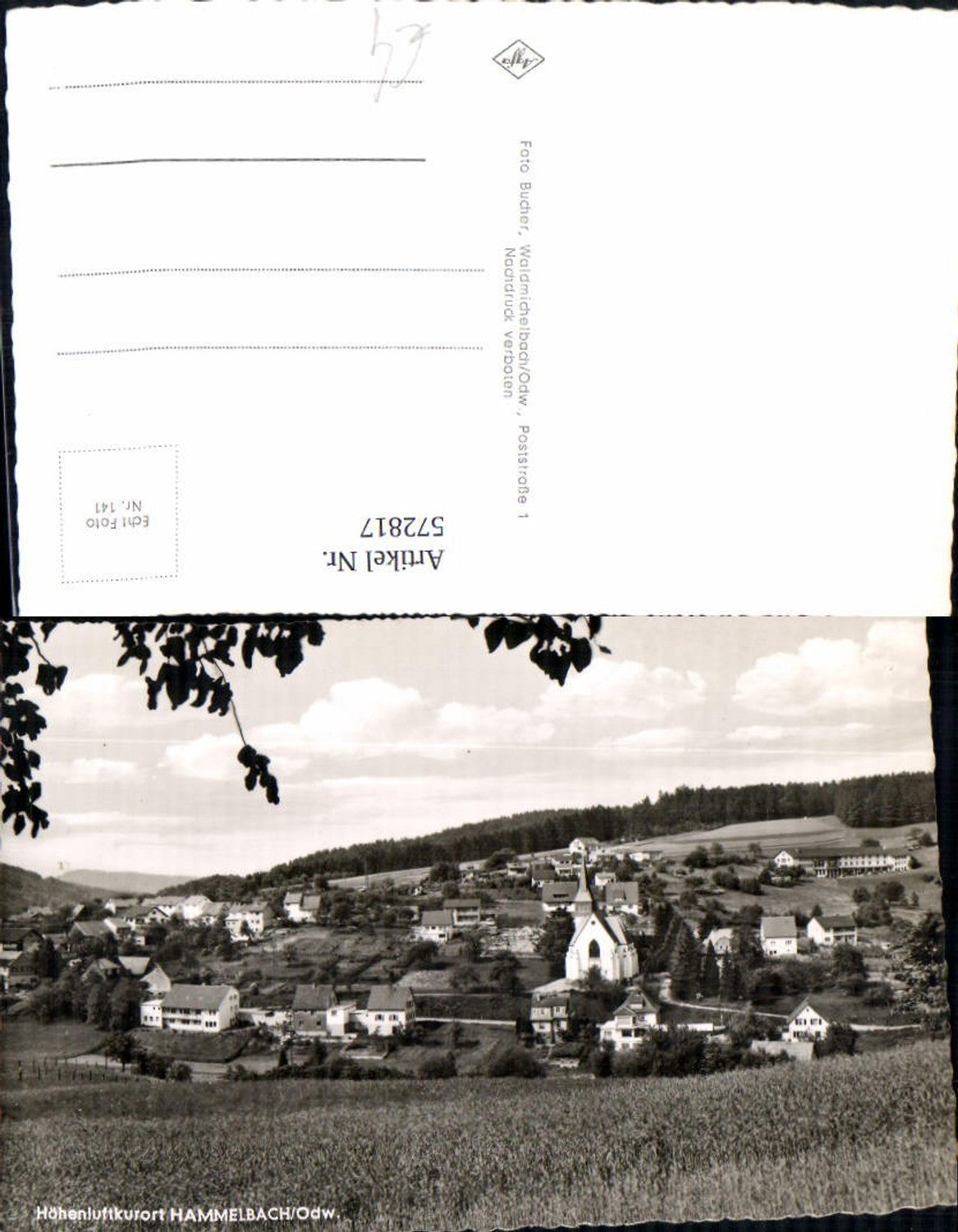 572817,Photo Ak Hammelbach Grasellenbach Odenwald 