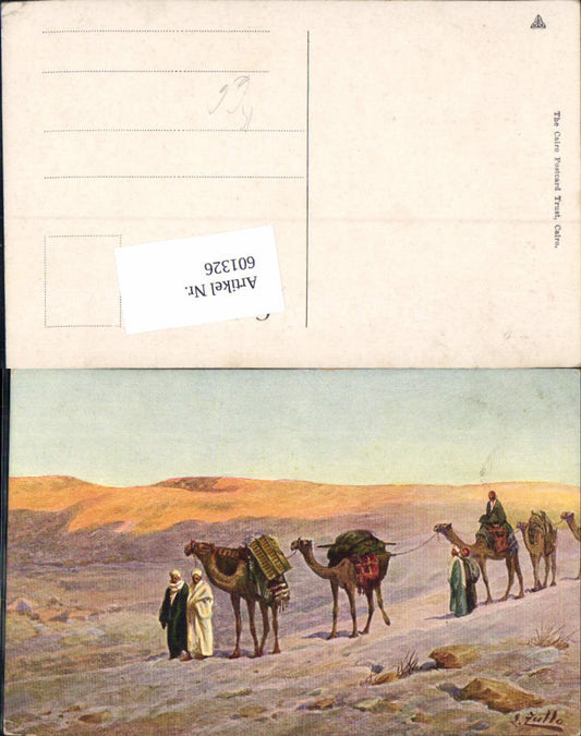 601326,Egypt S. Zullo Camels Camel Cairo Caravan