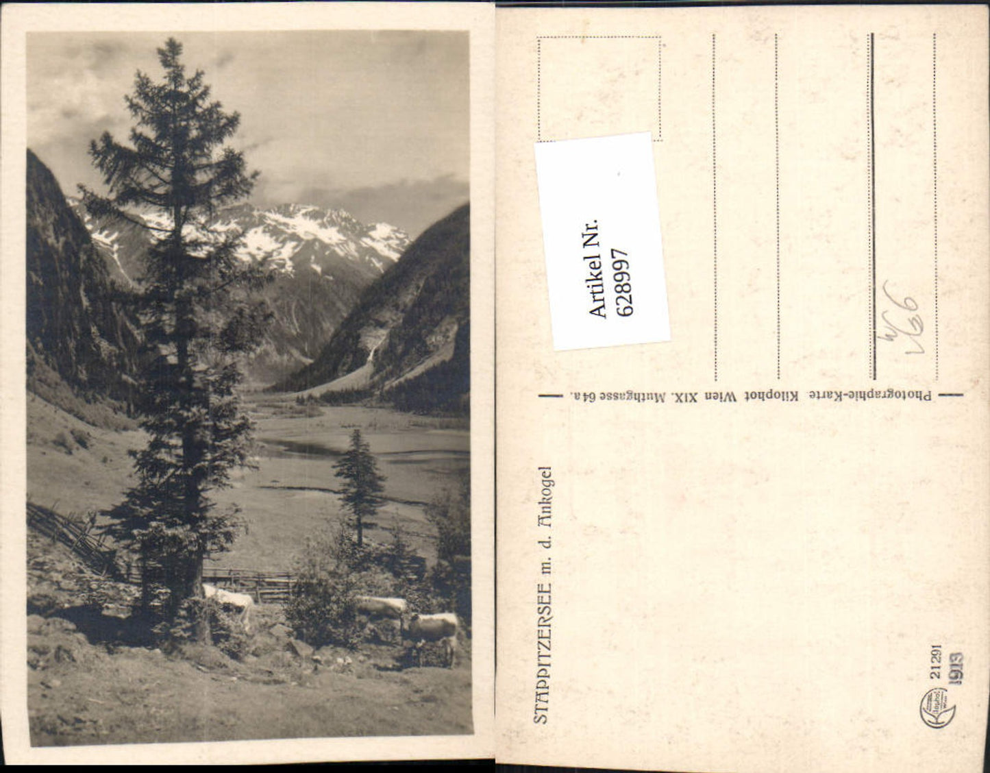 628997,Mallnitz Stappitzersee md Ankogel pub Kilophot 21291