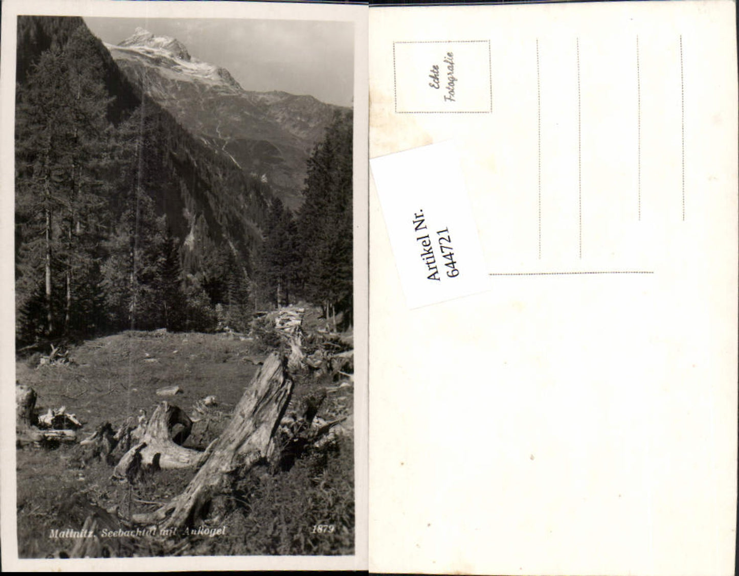644721, Mallnitz Seebachtal m. Ankogel