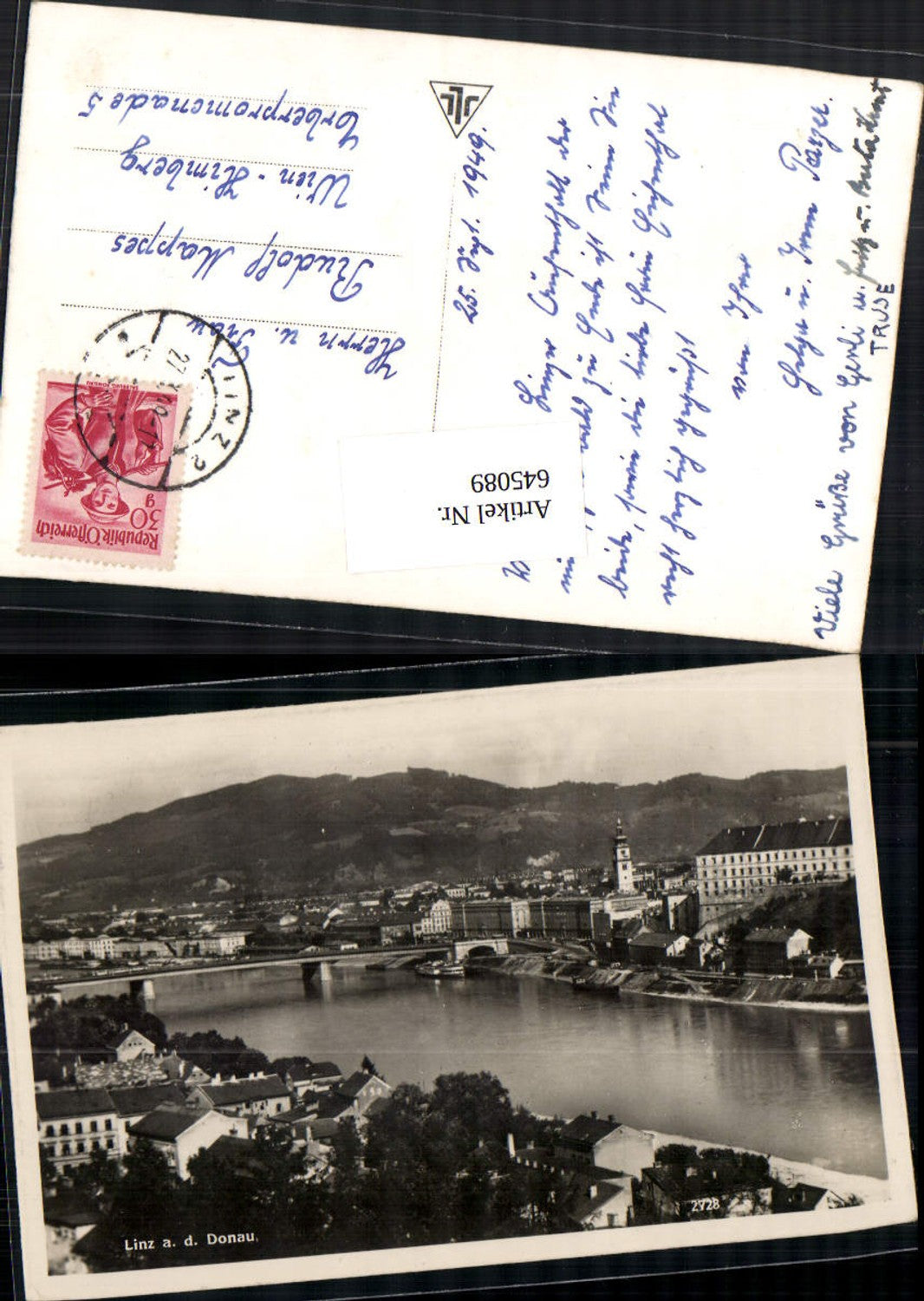 645090, Linz an der Donau, Cathedral of the Immaculate Conception