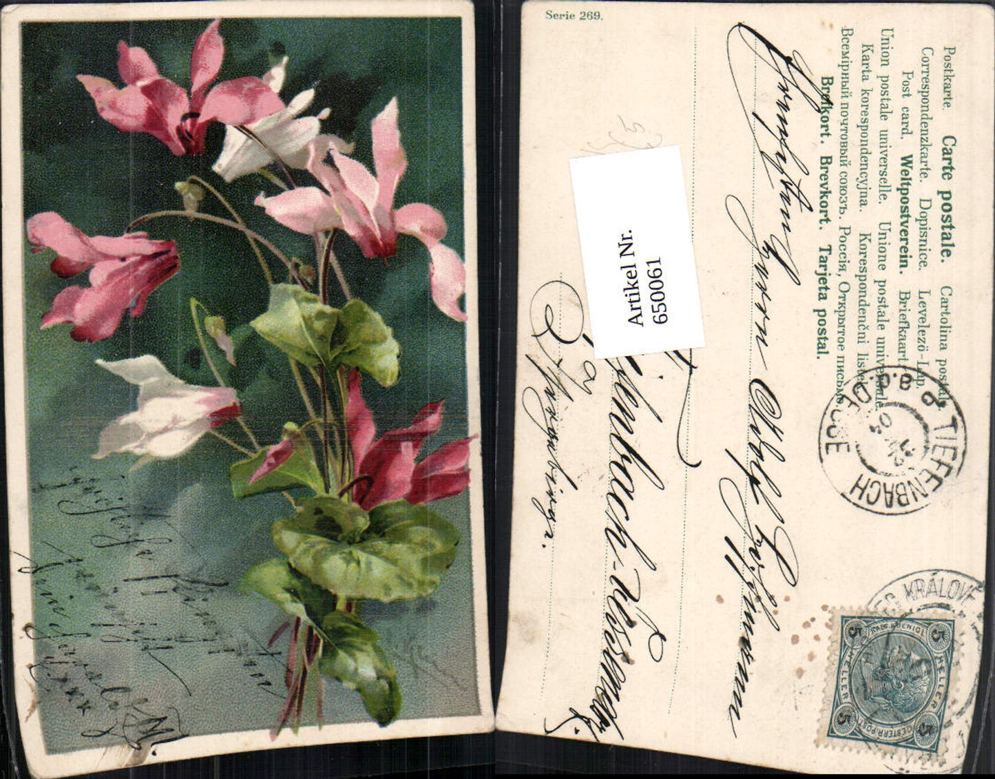 650061,tolle Künstler AK Catharina Klein Blumen