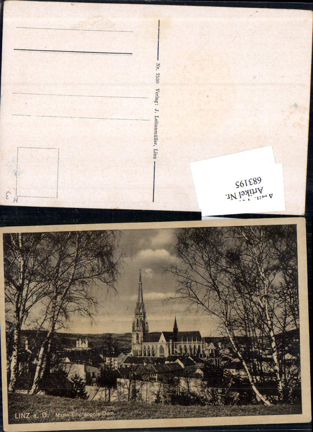 683195 Linz on the Danube Mariendom