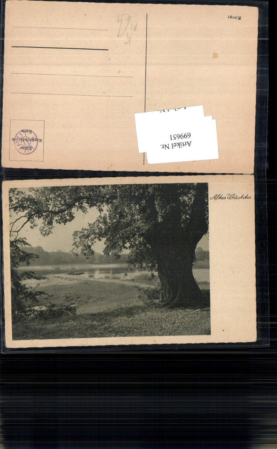 699651 Künstler AK Alter Wächter Baum