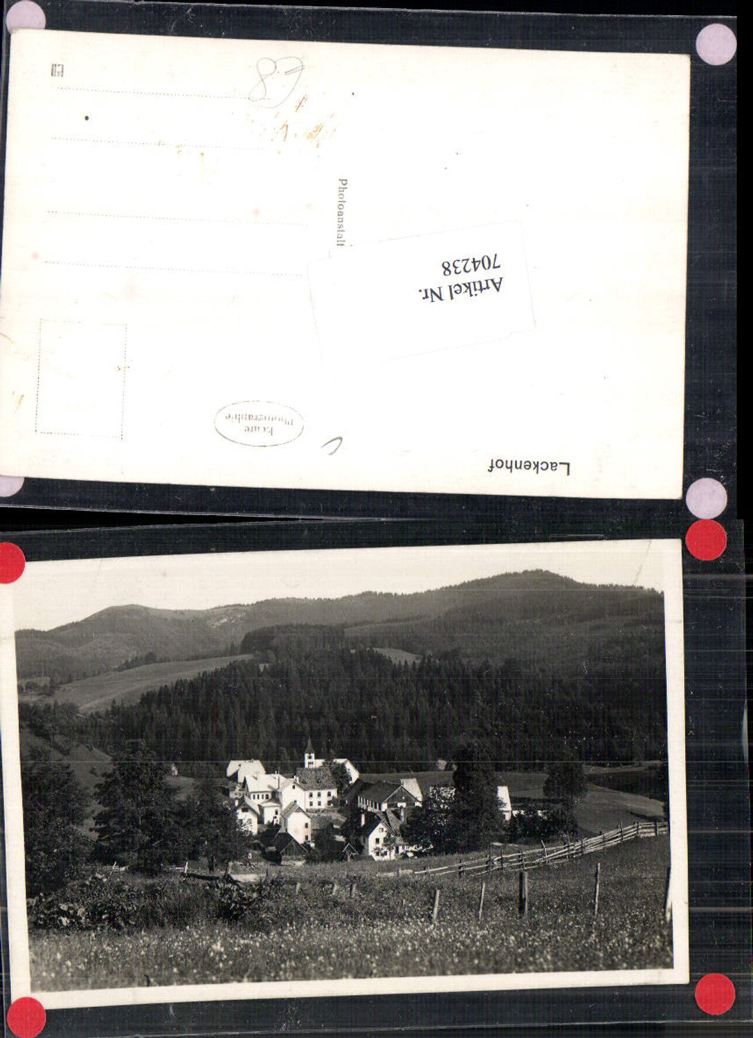 704238 Lackenhof am Ötscher, town view