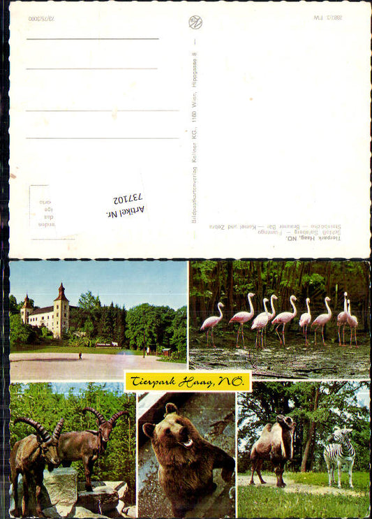 alte Ansichtskarte