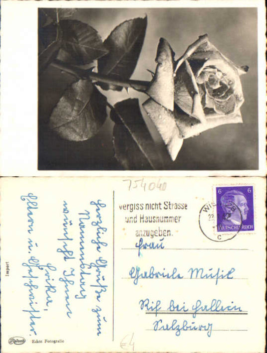 alte Ansichtskarte