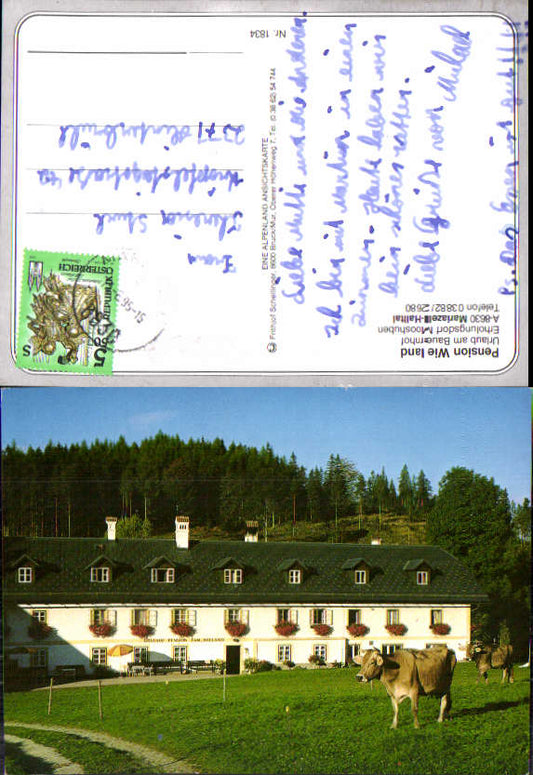 alte Ansichtskarte