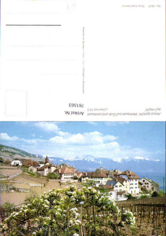 alte Ansichtskarte